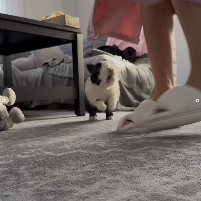 주인이고 뭐고 없는 성격 더러운 토끼 ㅋㅋㅋㅋ.JGP