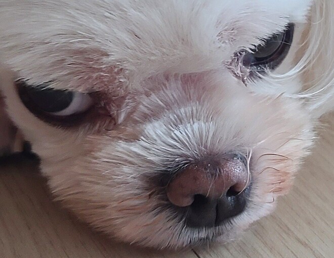 개빡치는 얘기 해드릴까요?