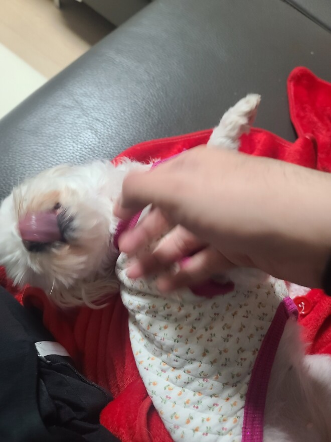 개빡치는 얘기 해드릴까요?