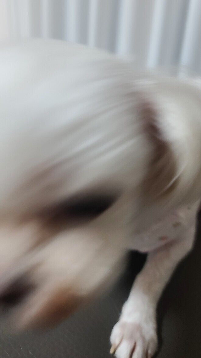 개빡치는 얘기 해드릴까요?