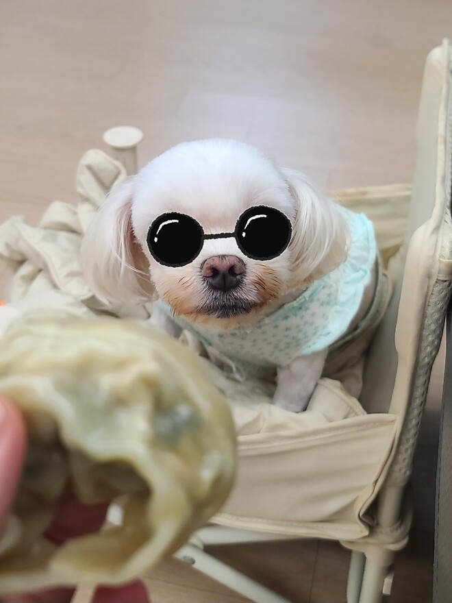 야구보고 자서 지금 일어난 ㅋㅋㅋㅋㅋㅋㅋㅋㅋ