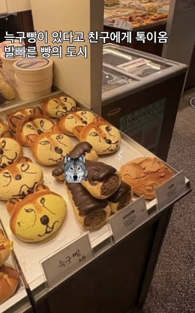 대전시의 발빠른 대처.JGP