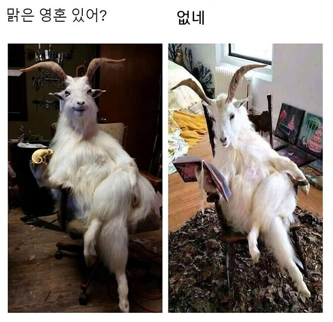 저도 길거리 나가니 제 번호 따려는 분 많더라구여ㅎㅎ