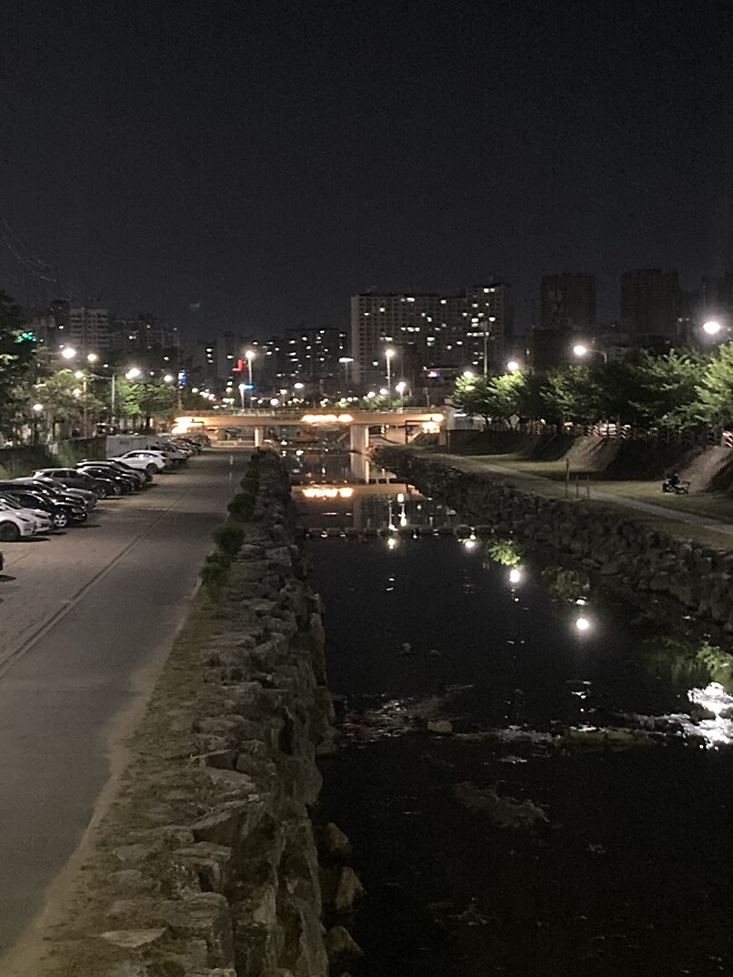 밤산책중입니다