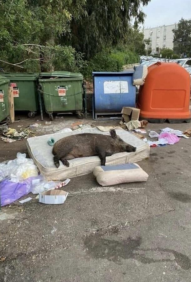 자식 자취방에 온 엄마시점