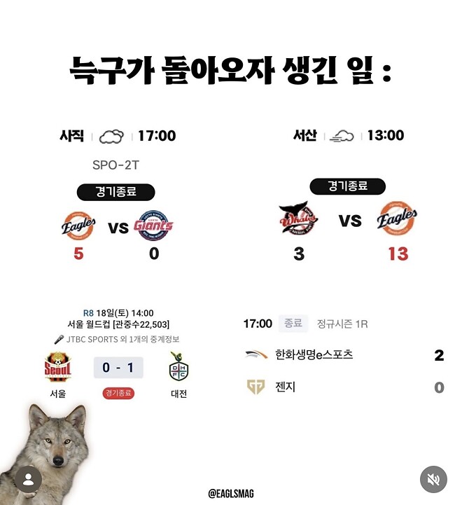 늑구가 돌아오자마자 생긴 일