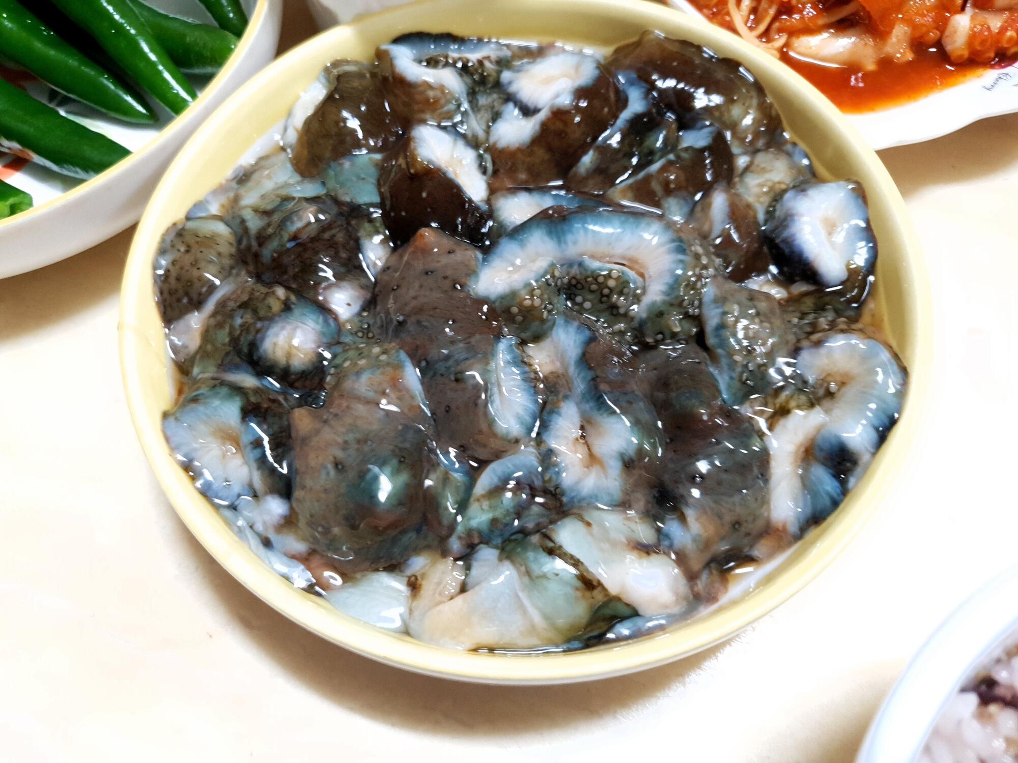 멍게, 해삼, 개불 좋아하시나요? - 세리에매니아 자유게시판 게시판