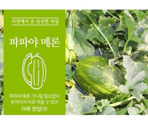 아빠 그만해 를 일본말로 하면.jpg - 세리에매니아
