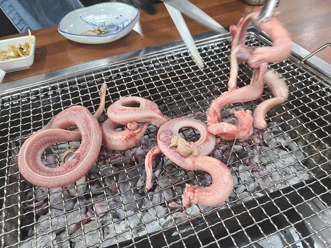 (혐주의) 혹시 여러분 꼼장어 좋아하십니까.jpg - 세리에매니아