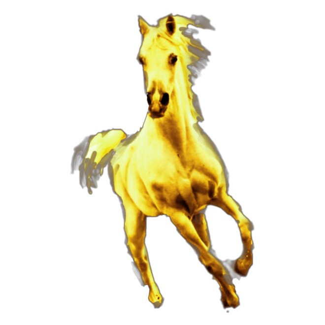 이것을아! 놔!!! 이거 노란말이야!!!