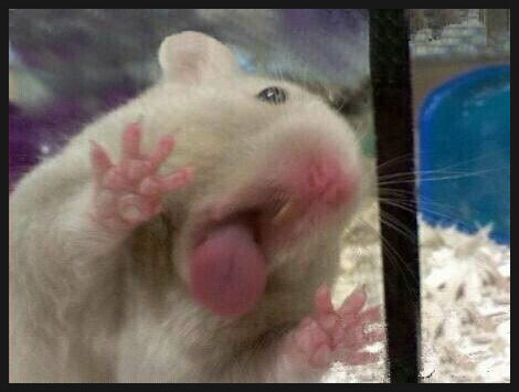 직장인들의 화장실 의리