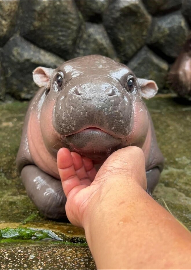 태국 여행이야기