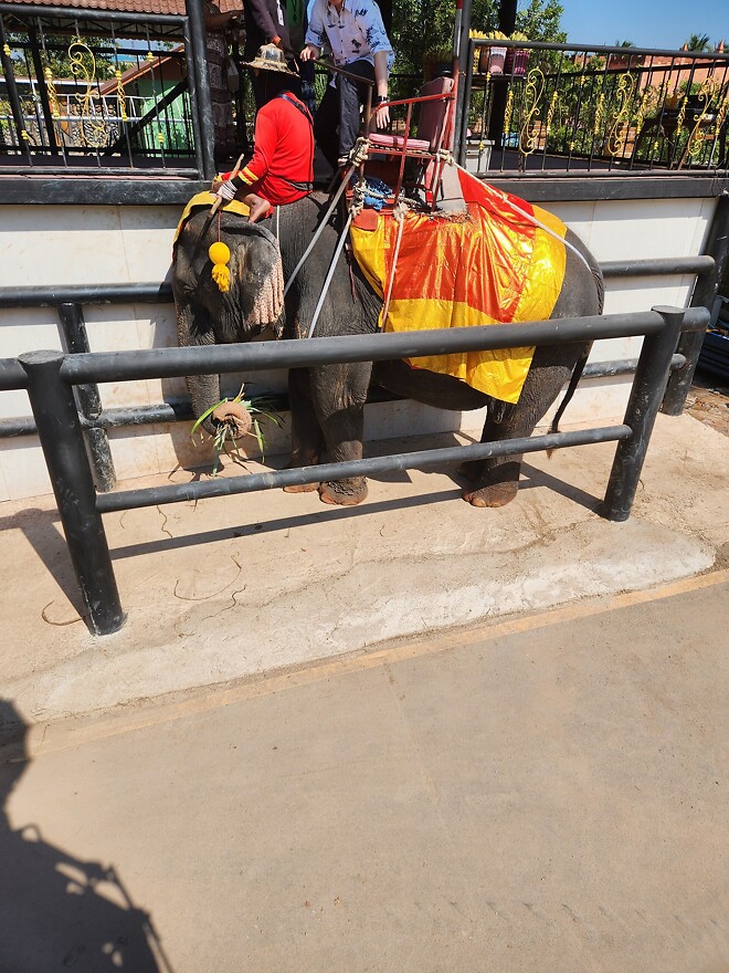 태국 여행이야기