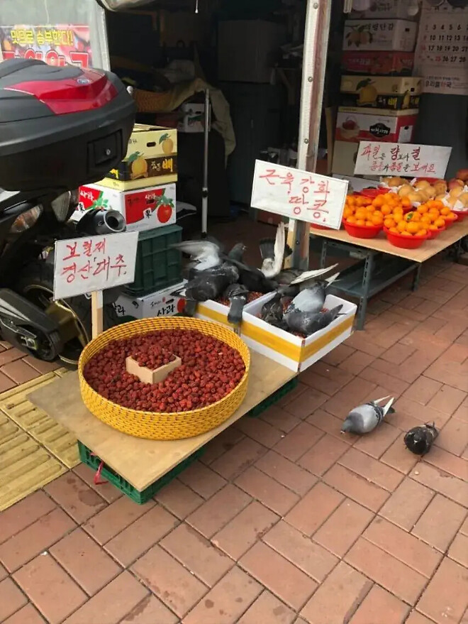 근육강화 땅콩!!!