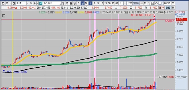 어제 미장을 지배한 종목