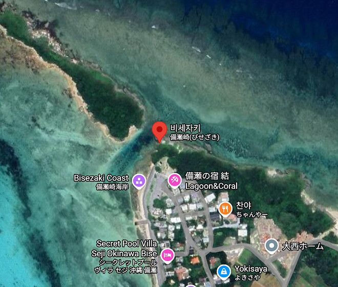 📍25. 2. 16 슈카월드배경 - 비세자키