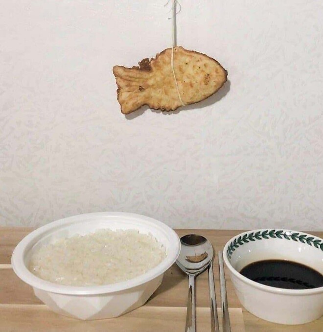 자린고비 최종진화형