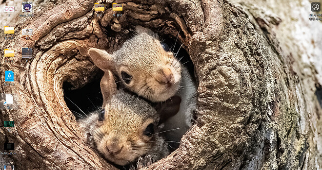 국장 오늘 쳐다도 안볼란다.. 🦐 이따가 낮술 주종 추천 점여.. 🦐