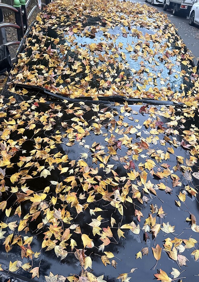 오옷 오늘 하늘에서 떨어지네 ..