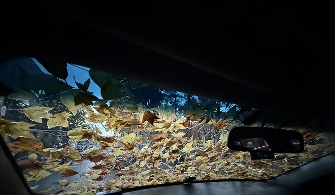 오옷 오늘 하늘에서 떨어지네 ..