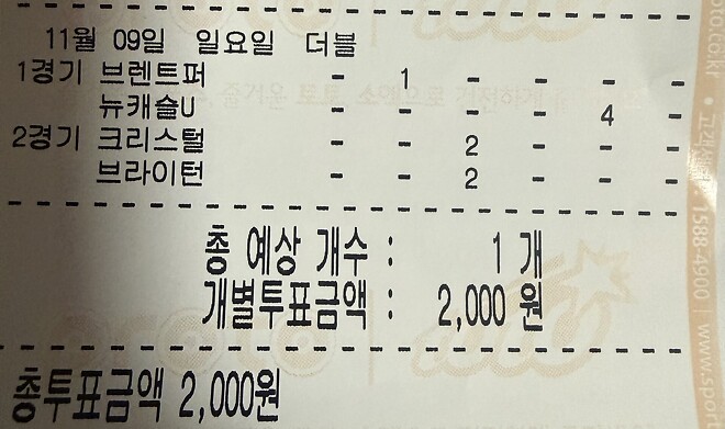 둘중에 하나만 걸려라