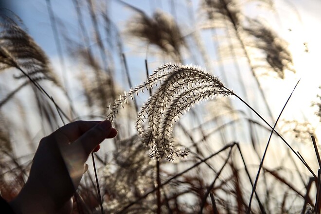 일상속에서 기다리는 것