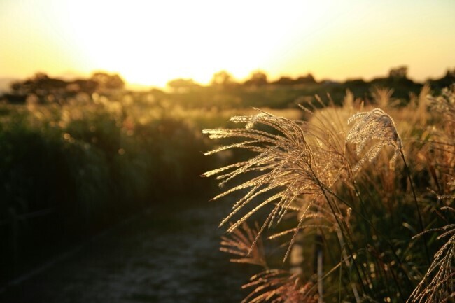 일상속에서 기다리는 것