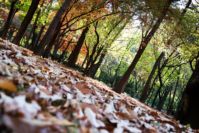 일상속에서 기다리는 것