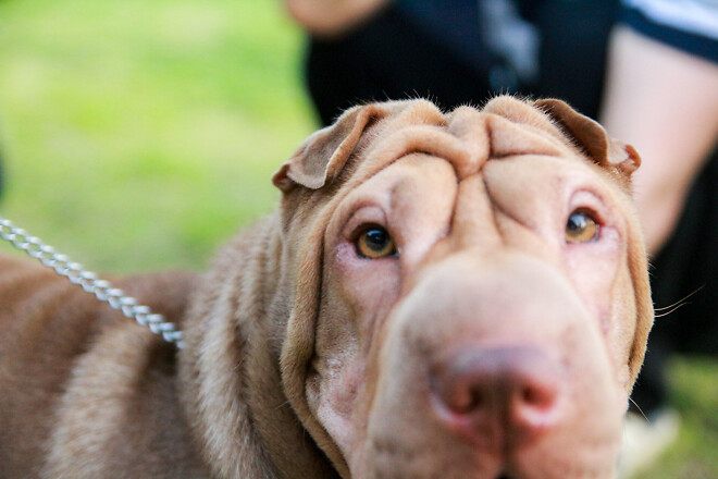 일상속에서 기다리는 것