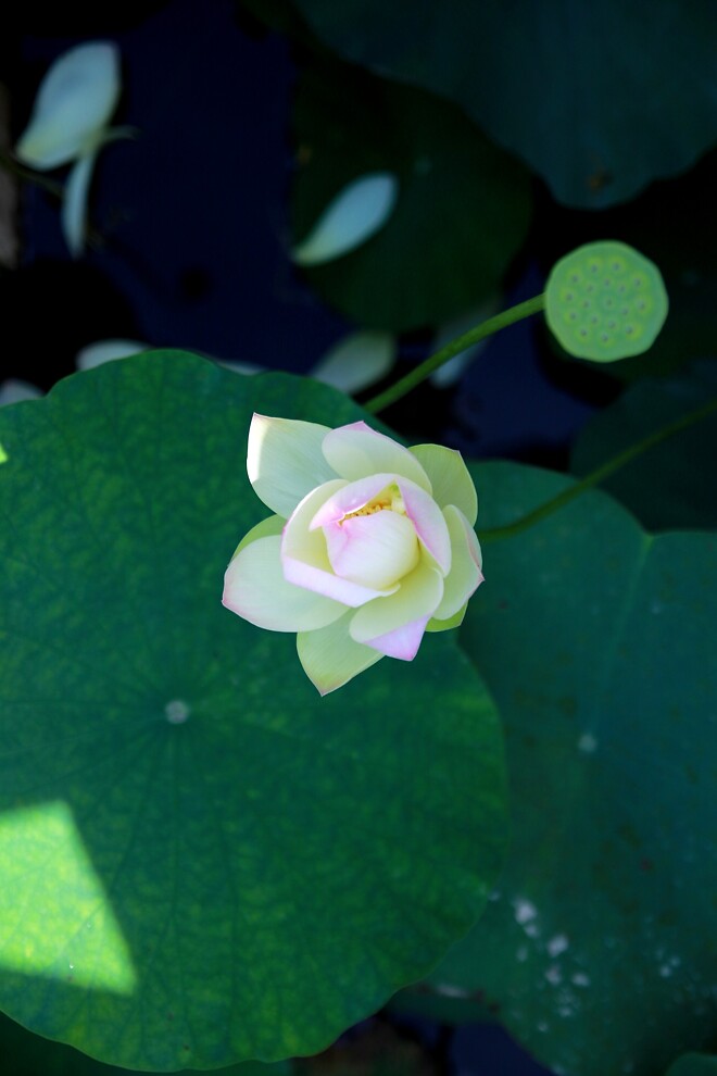 일상속에서 기다리는 것