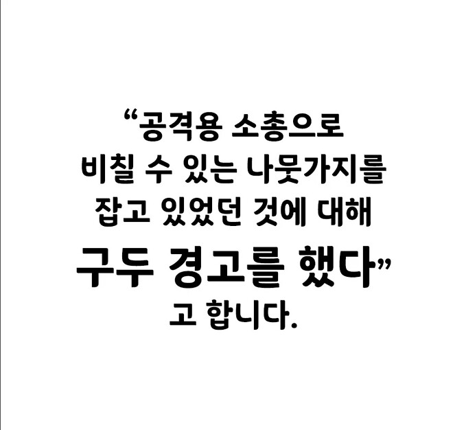 나무위에 총 든 고양이가 있어요!!