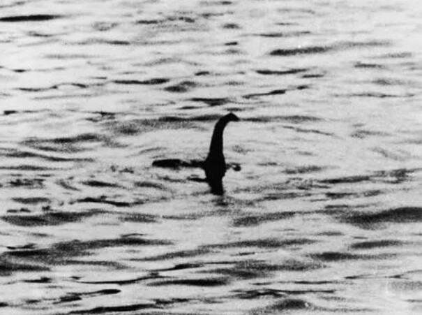 오늘은 네스호 괴물 첫 발견 날입니다 !