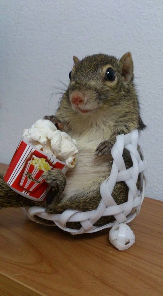 오늘은 무비데이입니다 ! (+클레드 모네의 탄생일!)