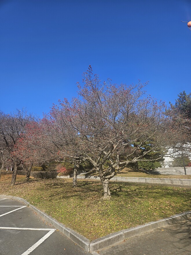 주가가 떨어져도....땡땡이