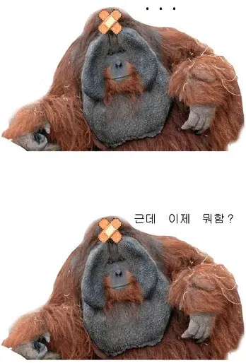 헐 님들아 이게 온다고 함