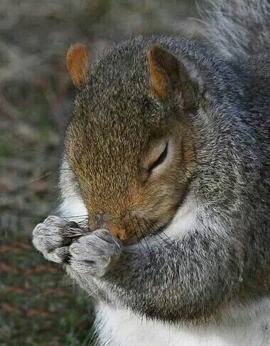 오늘은 순국선열의 날입니다 ! (+뫼비우스 탄생일)