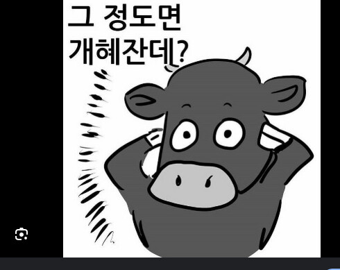 100만 사병 보유 집단
