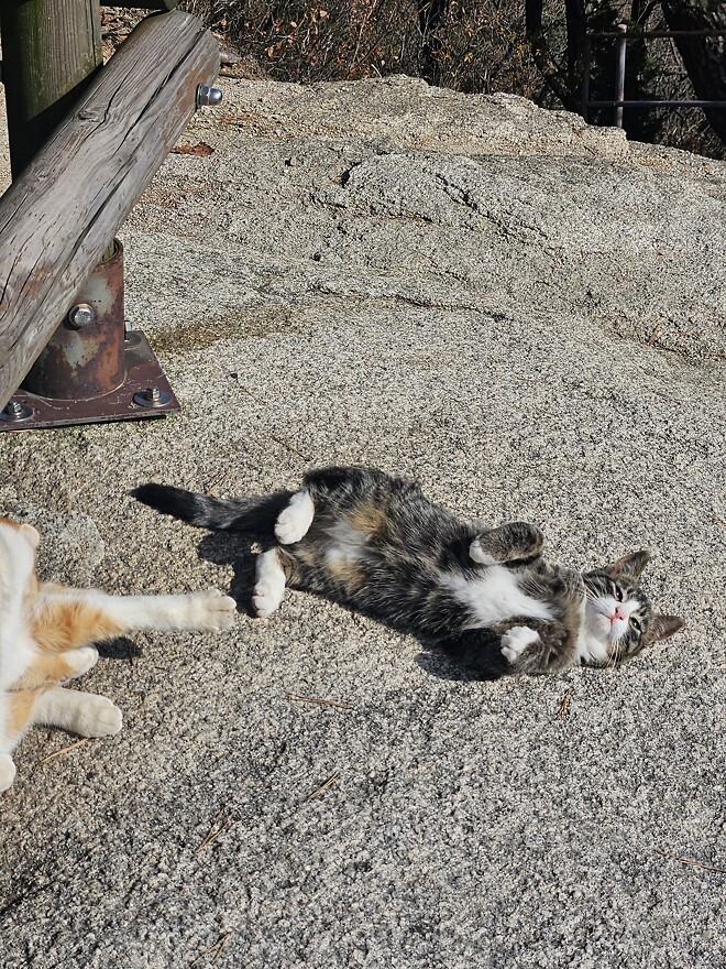 반도체주 주가 좀 올려주세요!!!