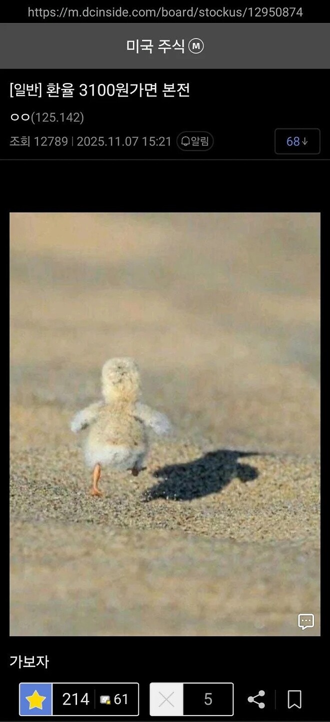 근데, 다음주 중엔, 주가 돌아오지 않을깝쇼?