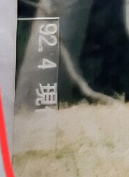 &#45768;&#45768;&#45784; &#45208;&#51060; &#44277;&#44060;..