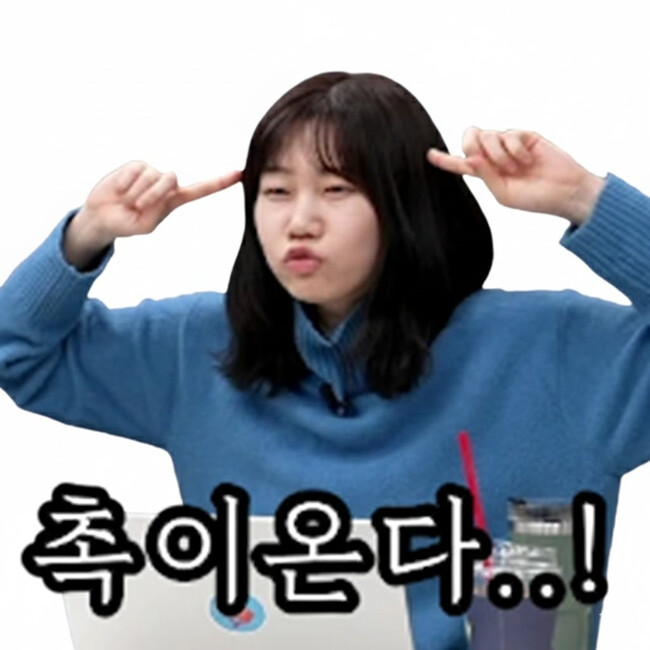 &#49800;&#52852;&#52828;&#44396;&#46308; &#51060;&#47784;&#54000;&#53080; &#50948;&#54260;&#50857; &#44277;&#50976;