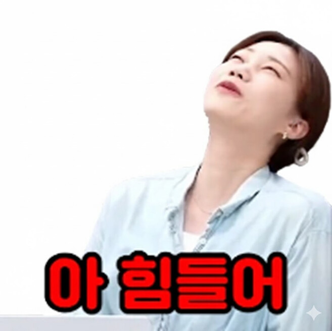 &#49800;&#52852;&#52828;&#44396;&#46308; &#51060;&#47784;&#54000;&#53080; &#50948;&#54260;&#50857; &#44277;&#50976;