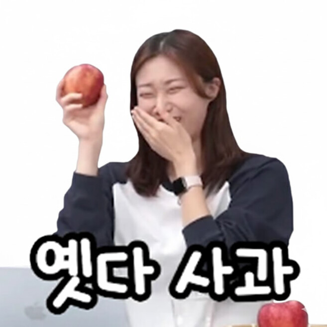 &#49800;&#52852;&#52828;&#44396;&#46308; &#51060;&#47784;&#54000;&#53080; &#50948;&#54260;&#50857; &#44277;&#50976;