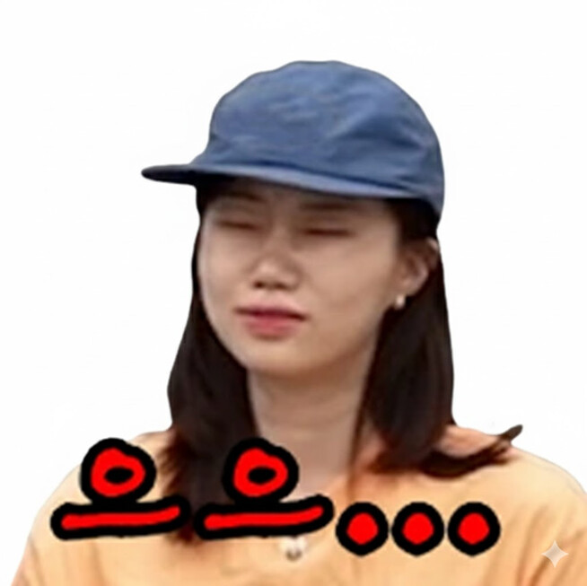 &#49800;&#52852;&#52828;&#44396;&#46308; &#51060;&#47784;&#54000;&#53080; &#50948;&#54260;&#50857; &#44277;&#50976;