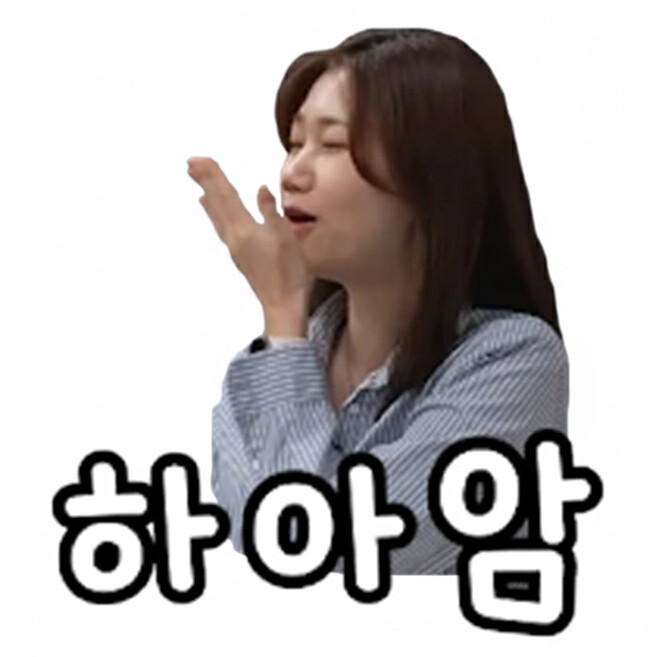 &#49800;&#52852;&#52828;&#44396;&#46308; &#51060;&#47784;&#54000;&#53080; &#50948;&#54260;&#50857; &#44277;&#50976;