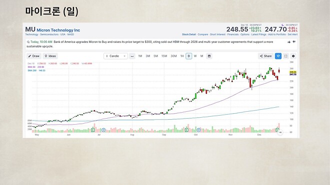 12월 19일 바이킹스 PPT