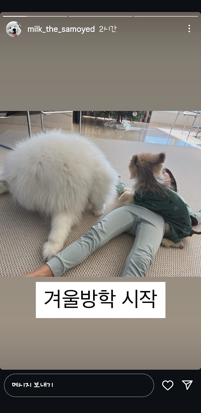 크리스마스는 귀요미 보는 날