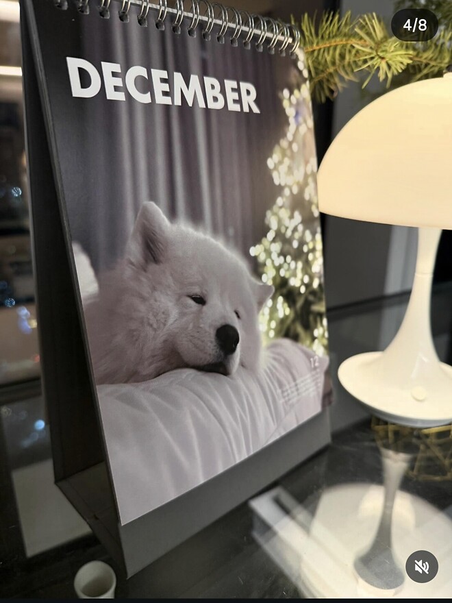 Merry Christmas&hearts;︎