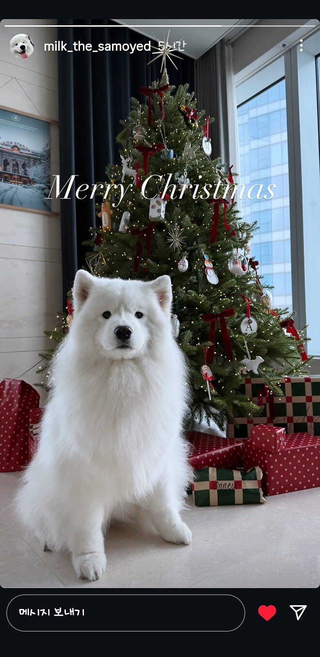 Merry Christmas&hearts;︎