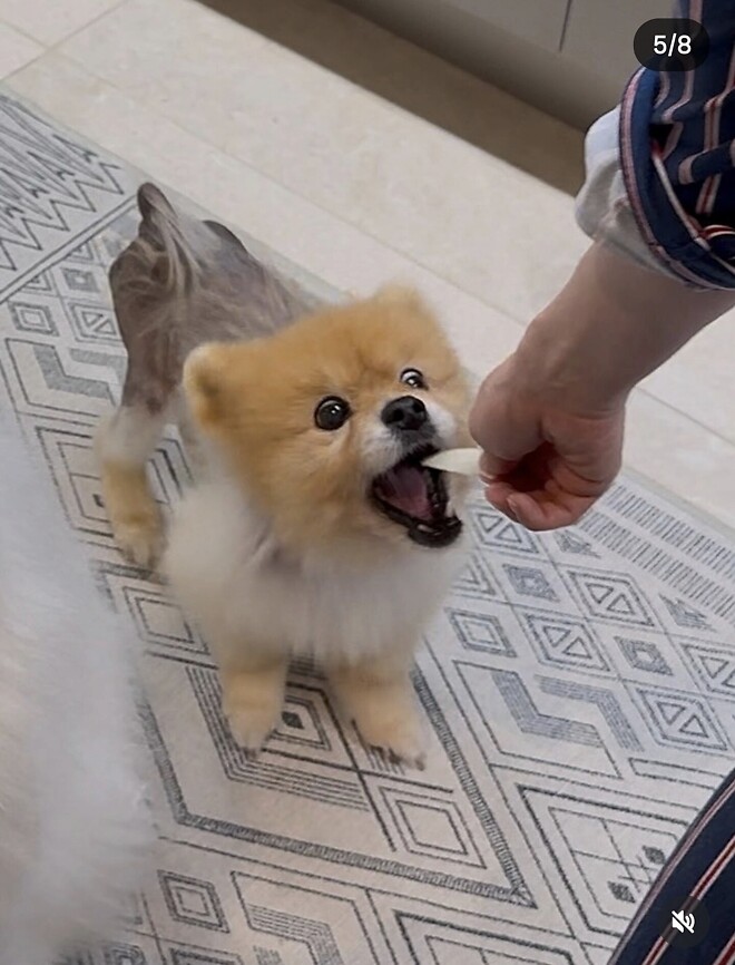 Merry Christmas&hearts;︎